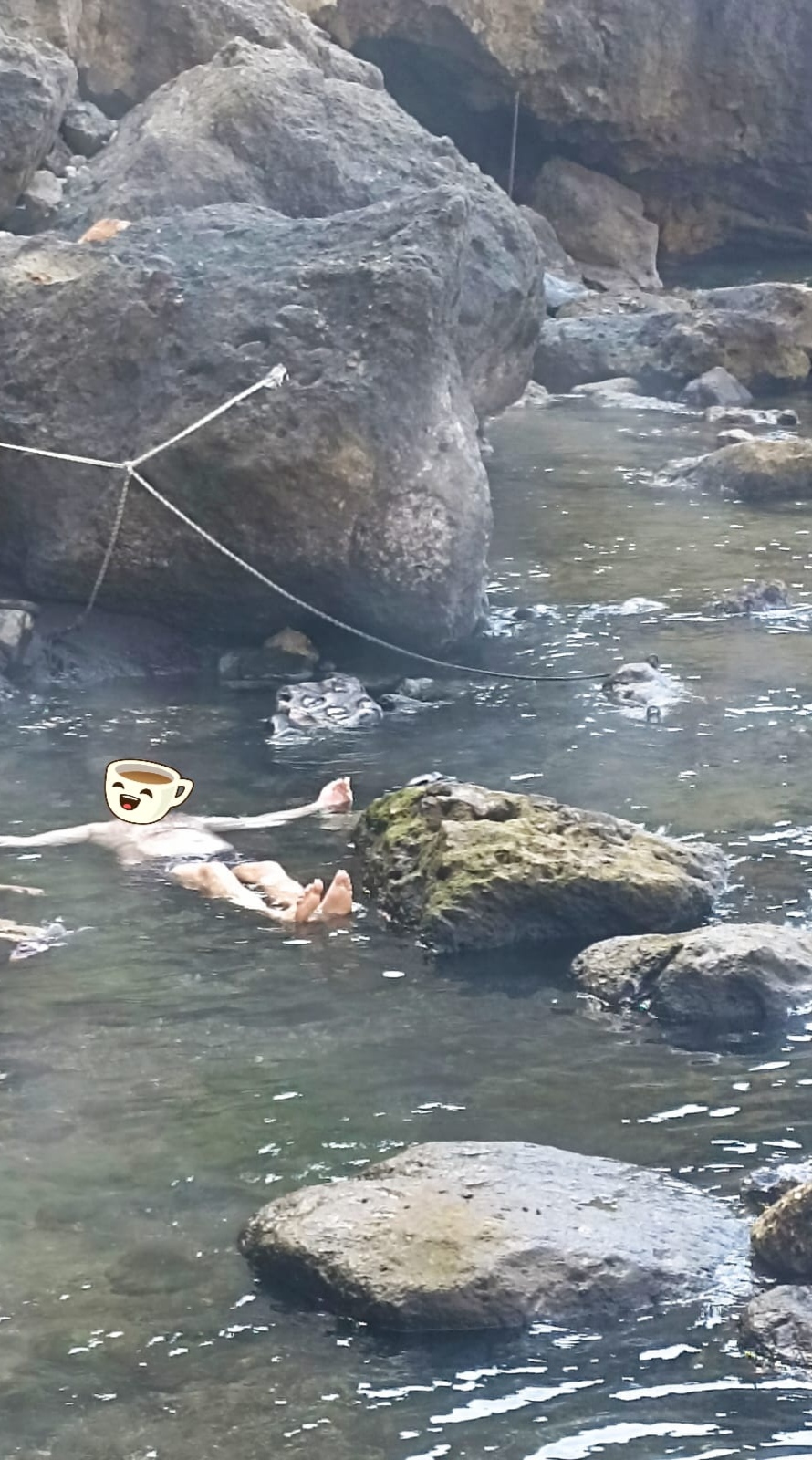 Salutări din Ischia 9479