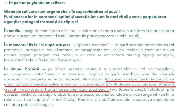 Căpușa, o minune a naturii Img 20260526 Wa00002941659454845493332