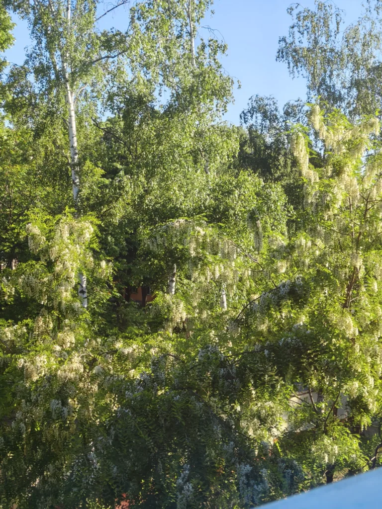 Img20260527075714174205082731460551 768x1024