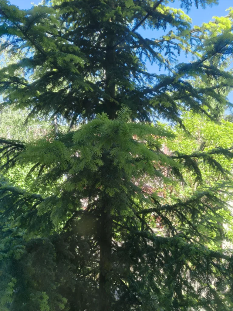 Img20260527104826223614093694145013 768x1024