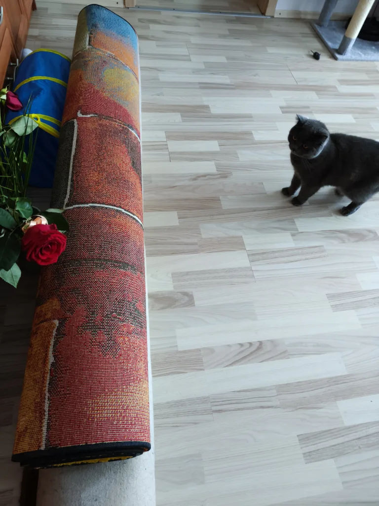 img20260621072616