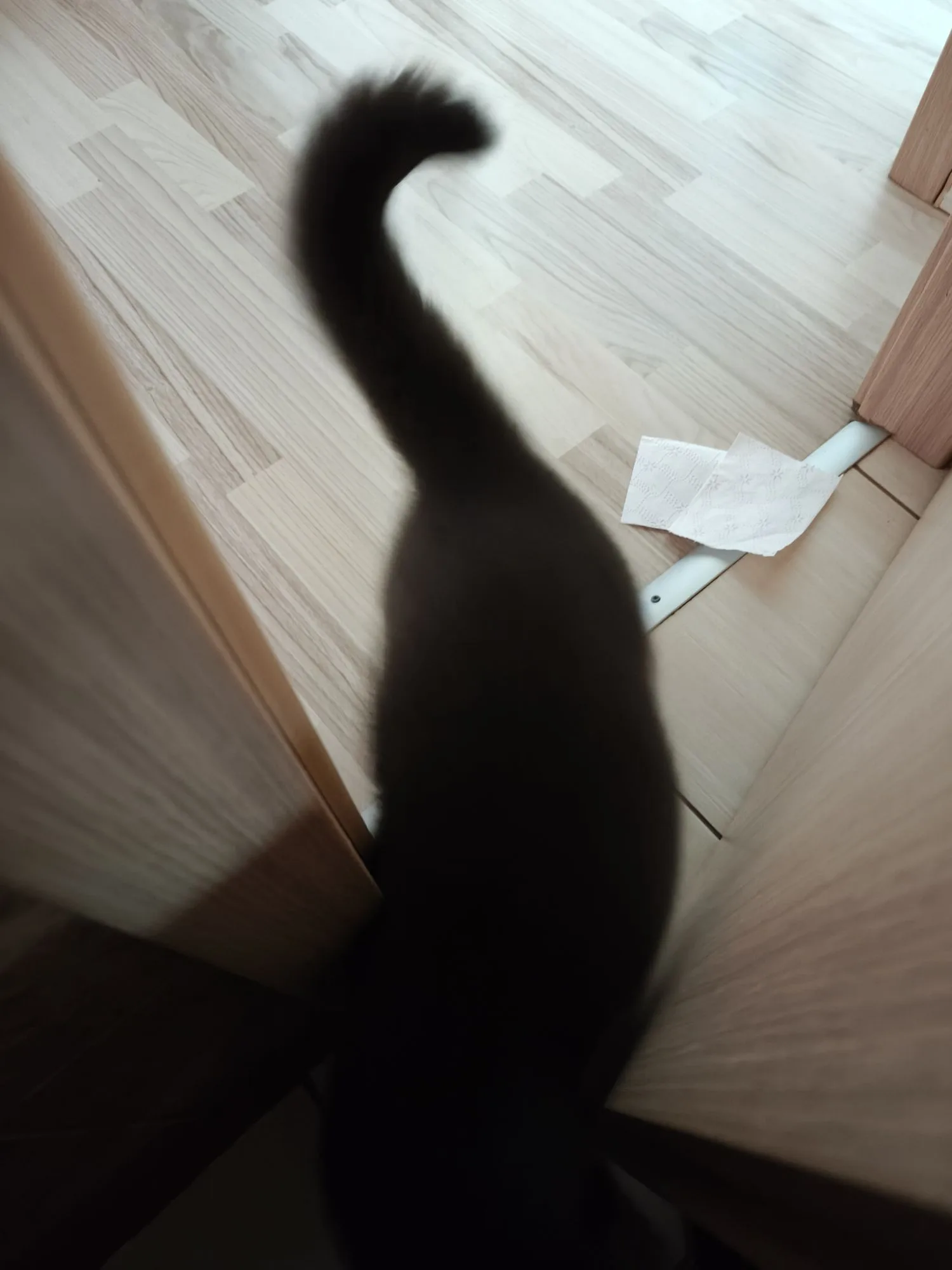 Img202606190729025132819436044378941