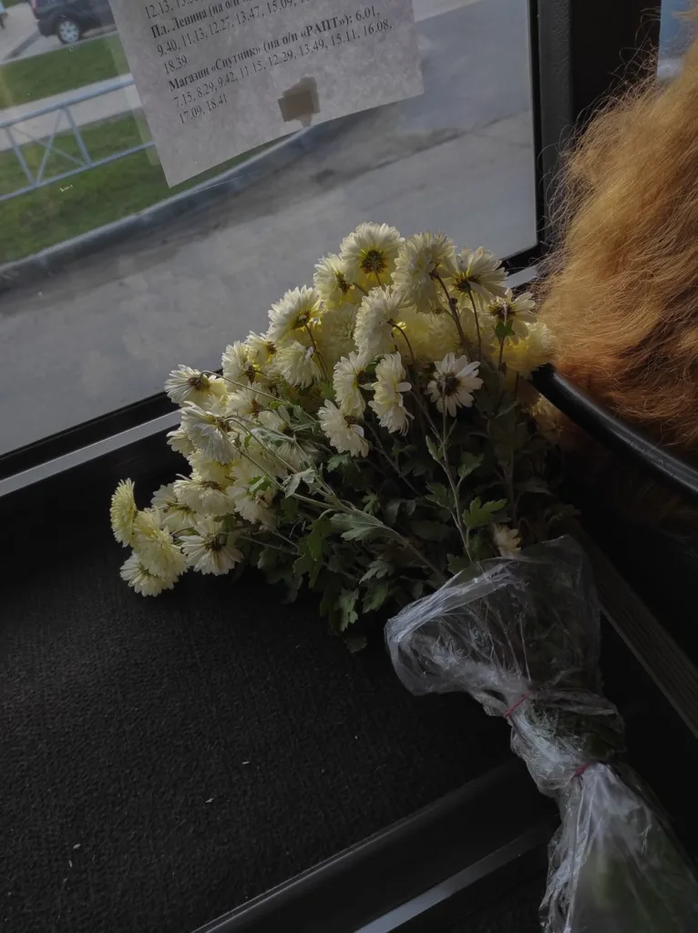 a bunch of chrysanthemums lying next to a window
