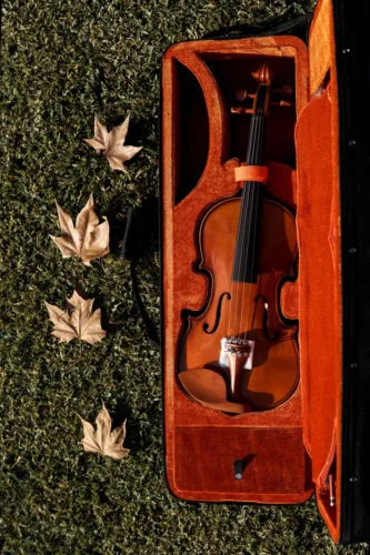 violin in case on grass