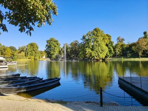 lac romanescu