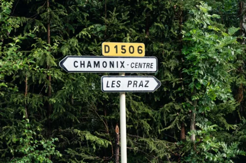 directional signs beside green trees