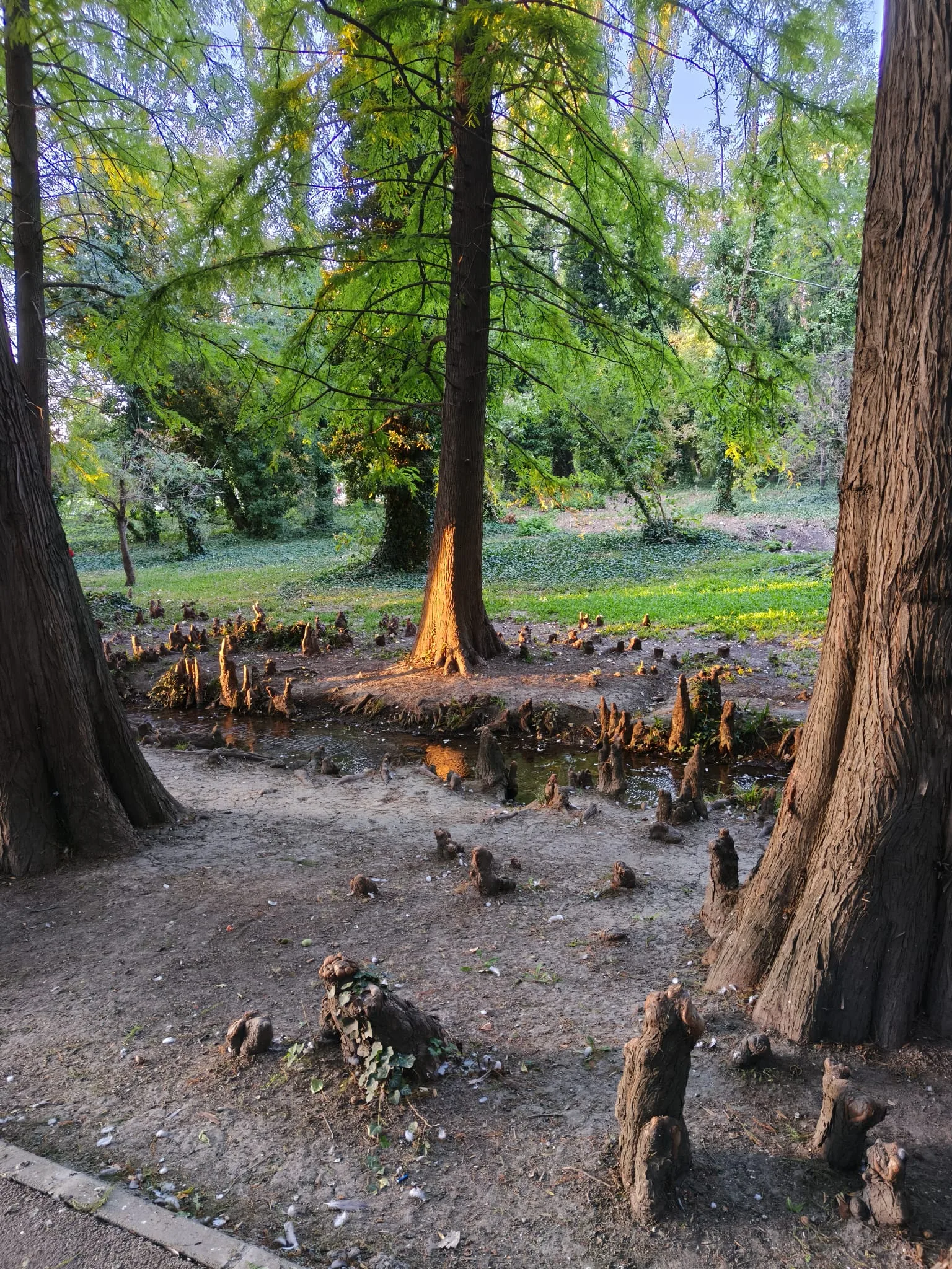 stalagmite